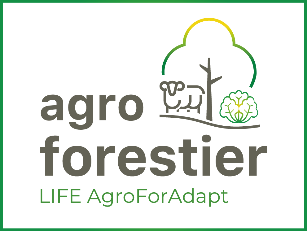 Logo Agroforadapt